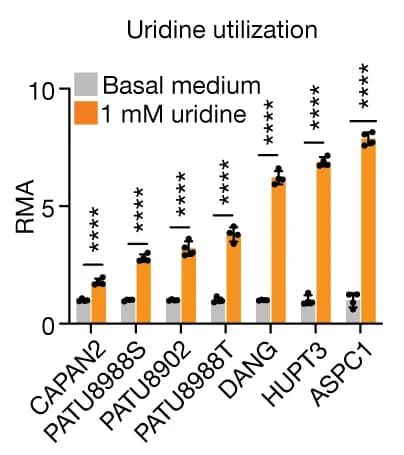 Open access visualization of Clustered, Error Bars, Bar Plot, Metabolic Activity, PDA Cell Lines