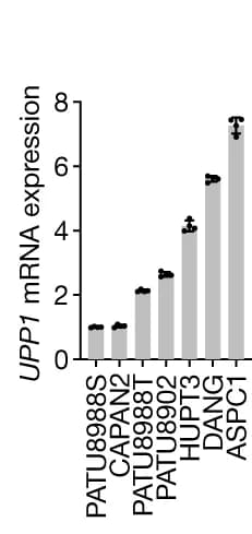 Open access visualization of Bar Plot, Error Bars, Quantitative PCR, qPCR, mRNA expression