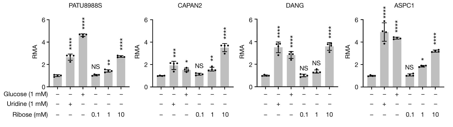 Open access visualization of Bar Plot, Error Bars, PDA Cell Lines, Glucose, Uridine