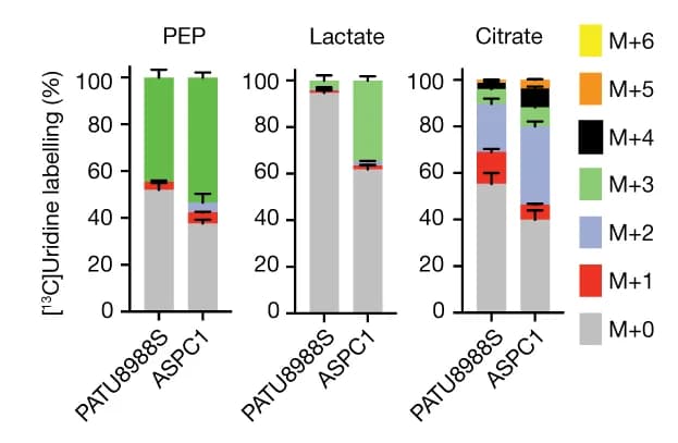 Open access visualization of Stacked Bar Plot, Error Bars, Mass Isotopologue Distribution, Carbon-13 Uridine, Phosphoenolpyruvate