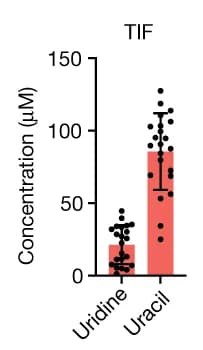 Open access visualization of Bar Plot, Error Bars, Metabolomics, Uridine, Uracil