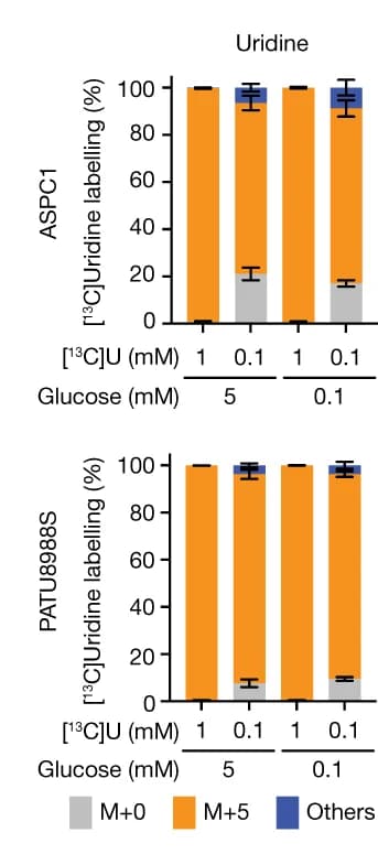 Open access visualization of Stacked Bar Plot, Error Bars, Mass Isotopologue Distribution, Carbon-13 Uridine, ASPC1 Cells