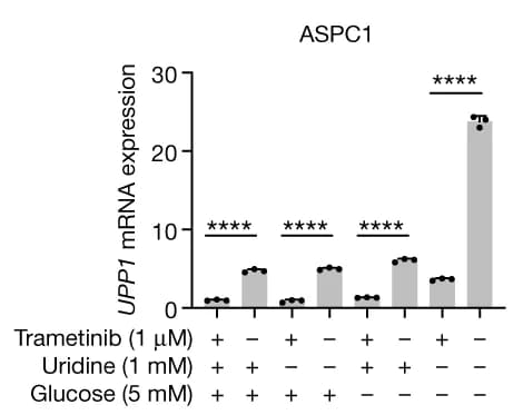 Open access visualization of Bar Plot, Error Bars, qPCR, UPP1 mRNA, Cell Lines