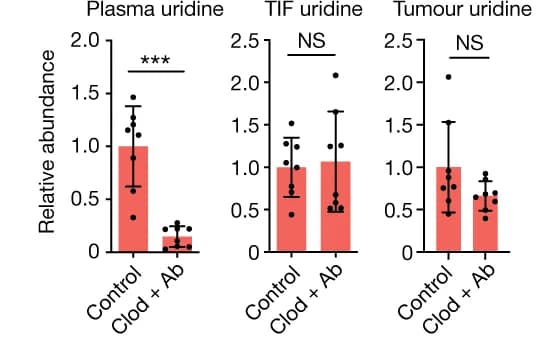 Open access visualization of Bar Plot, Error Bars, Scatter Plot, Plasma Uridine Levels, TIF Uridine Levels