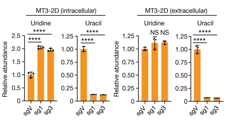 Open access visualization of Bar Plot, Error Bars, Intracellular Uridine Levels, Extracellular Uridine Levels, Uracil Levels