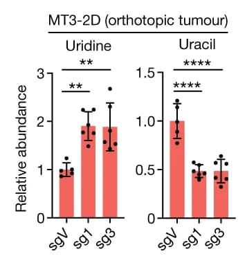 Open access visualization of Bar Plot, Error Bars, Tumor Studies, Tumors, Control Vector