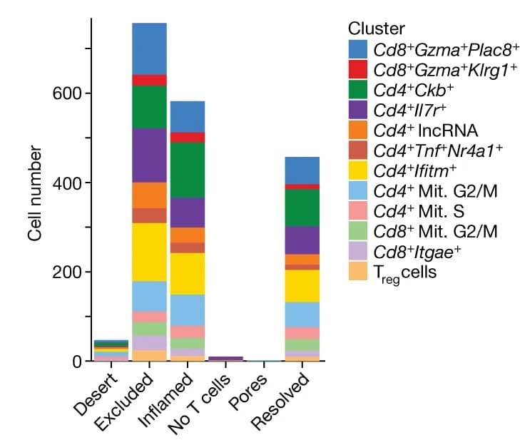 Open access visualization of Stacked Bar Plot, T Cell Subsets, scRNA-seq Analysis, STAMP Tumor Biopsies, Immune Phenotype