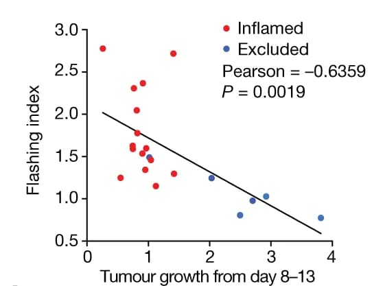 Open access visualization of Scatter Plot, Regression Plot, GCaMP6 Flashing Index, Tumor Growth, Immune-Inflamed Tumors
