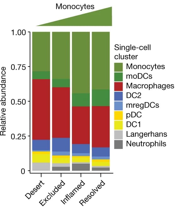 Open access visualization of Stacked Bar Plot, scRNA-seq, STAMP Tumour Biopsies, Myeloid Cell Subclusters, Dendritic Cells