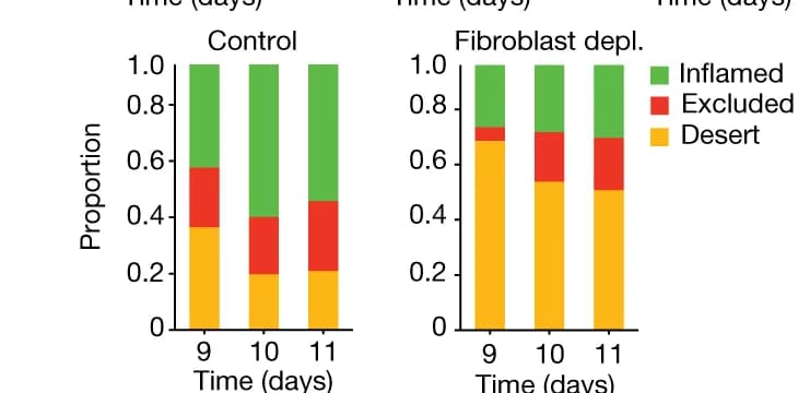 Open access visualization of Stacked Bar Plot, Immune-Inflamed Tumours, Immune-Excluded Tumours, Immune-Desert Tumours, Tumours