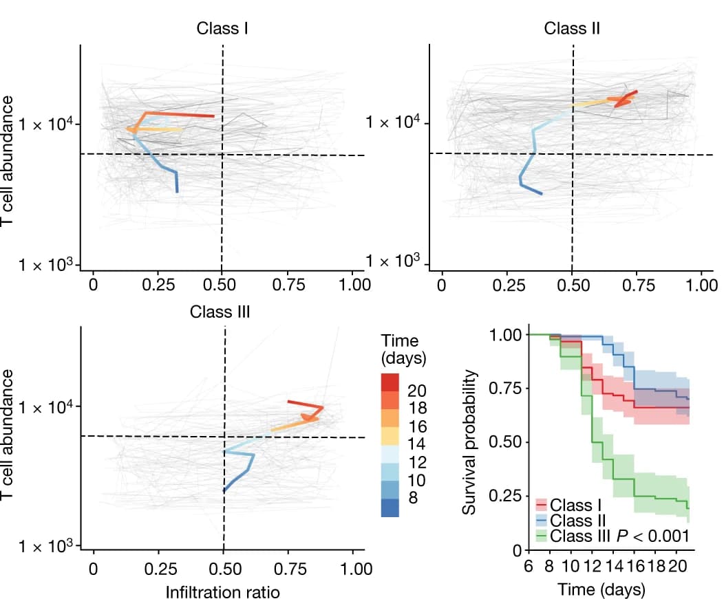 Open access visualization of Line Plot, Survival Curve, Scatter Plot, Unsupervised Clustering, Tumour Immune Trajectories