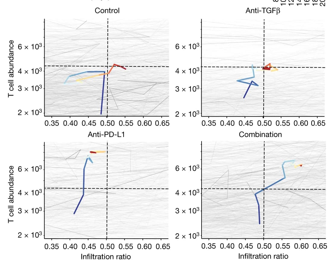 Open access visualization of Line Plot, Immune Trajectories, Tumours, Treatment Groups, Median Immune Trajectories
