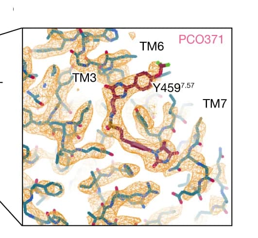 Open access visualization of Protein Structure, Chemical Structure, Density map, PCO371, Binding pocket