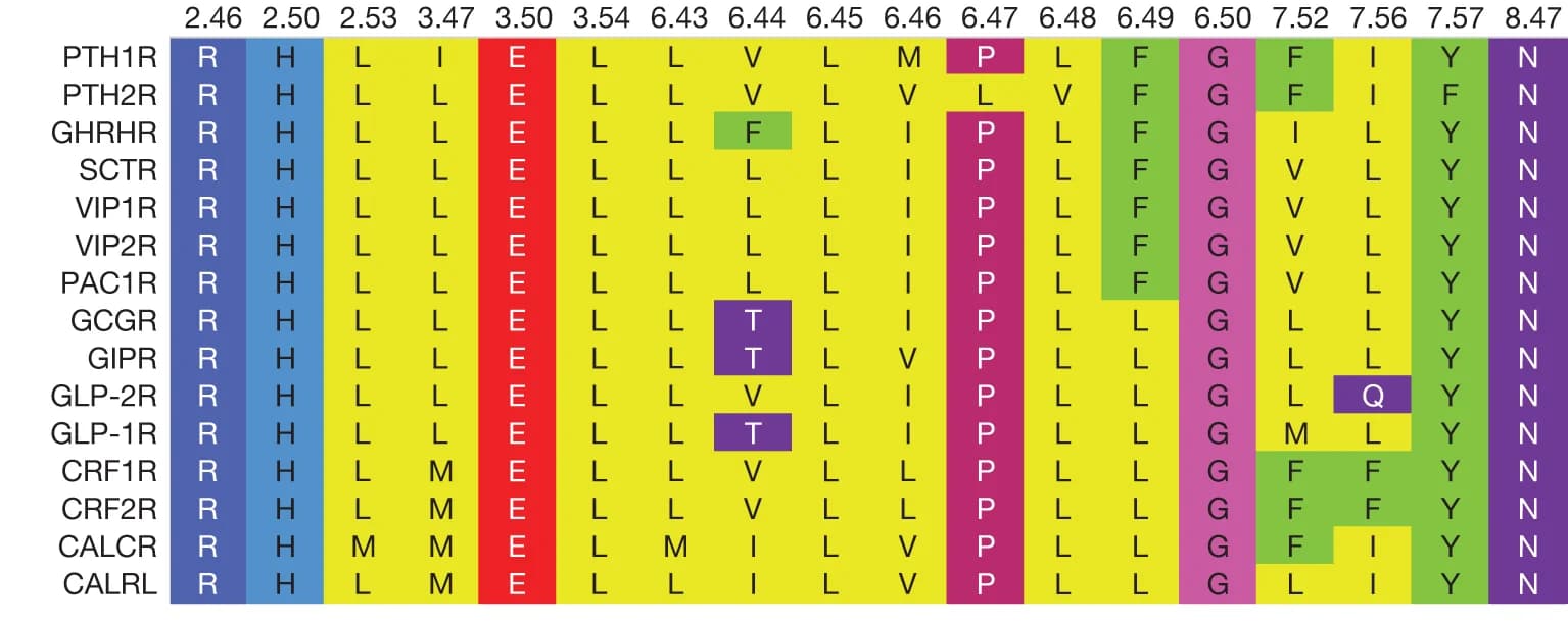 Open access visualization of Table Image, Amino acid sequence, Human, Class B1 GPCRs, Residues