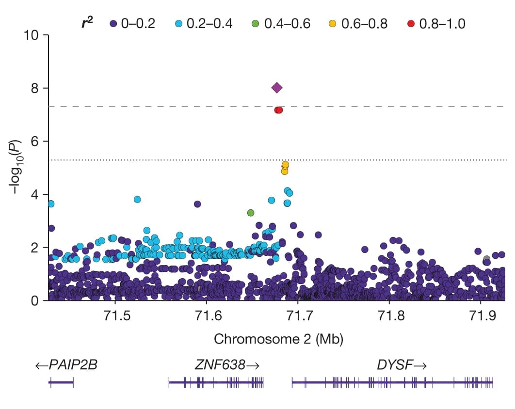 Open access visualization of Manhattan Plot, Scatter Plot, Locus, Linkage Disequilibrium, Gene Position