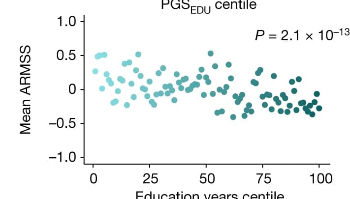 Open access visualization of Scatter Plot, Years of Education, ARMSS Scores, EIMS Cohort