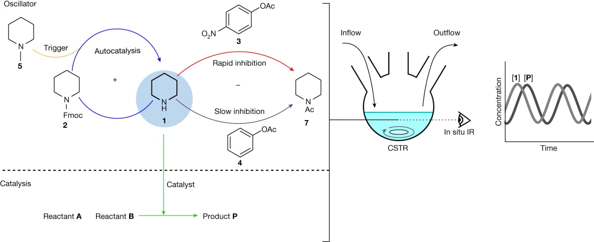 Open access visualization of Workflow, Line Plot, Chemical Reaction Network, Autocatalytic Deprotection, N-methylpiperidine