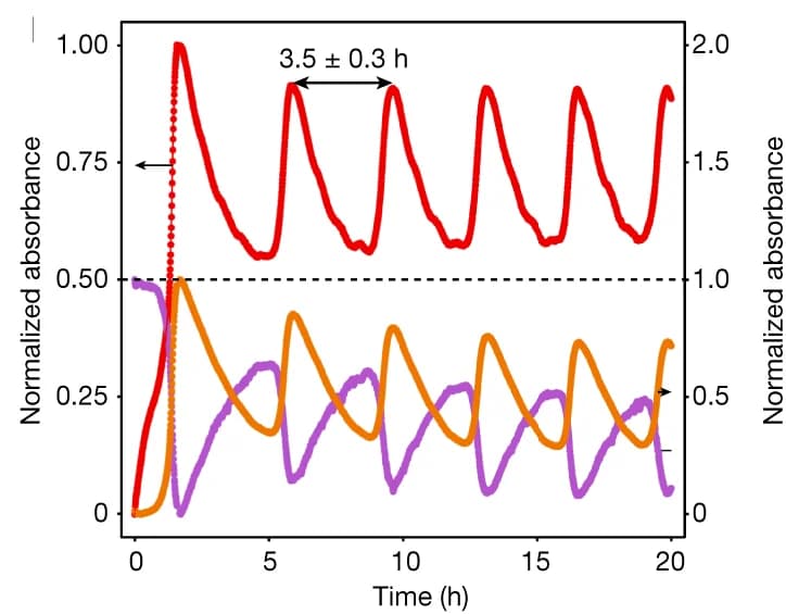 Open access visualization of Line Plot, Oscillation Space, Experiment