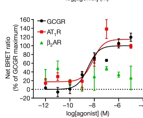 Open access visualization of Line Plot, Error Bars, Endocytosis, Wild-type GCGR, AT1R