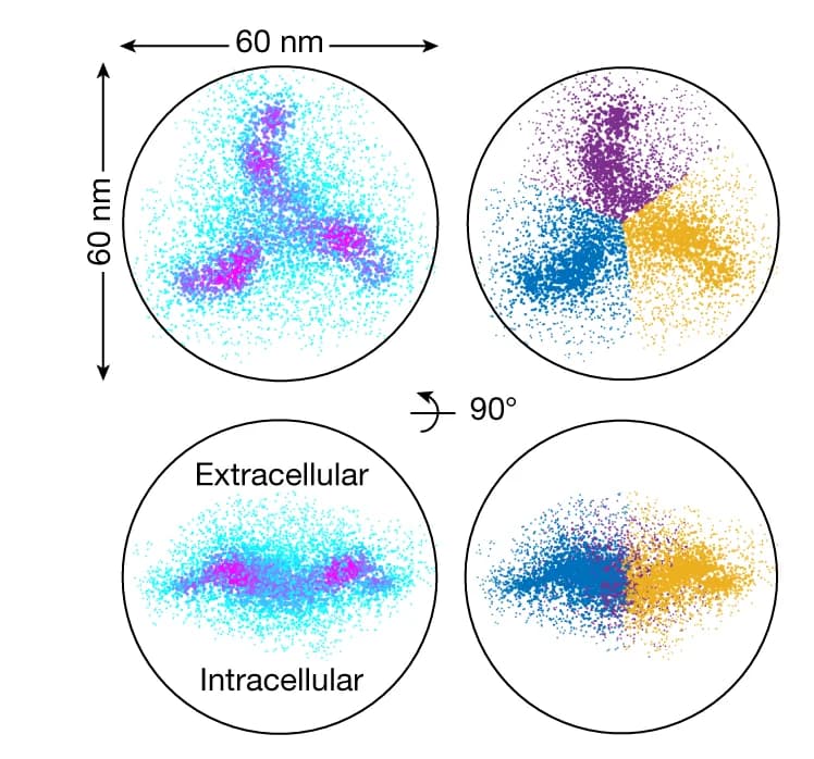 Open access visualization of Scatter Plot, Super-particle, Local Density, K-means Clustering
