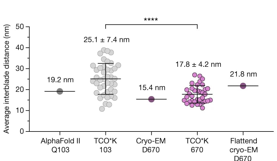 Open access visualization of Scatter Plot, Error Bars, Interblade Distances, MINFLUX, Cell Membrane