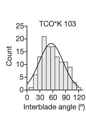 Open access visualization of Histogram, Line Plot, Density Plot, Histograms, Interblade Angles