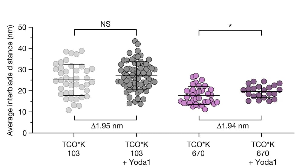 Open access visualization of Scatter Plot, Error Bars, Interblade Distances, Yoda1, Unstimulated Condition