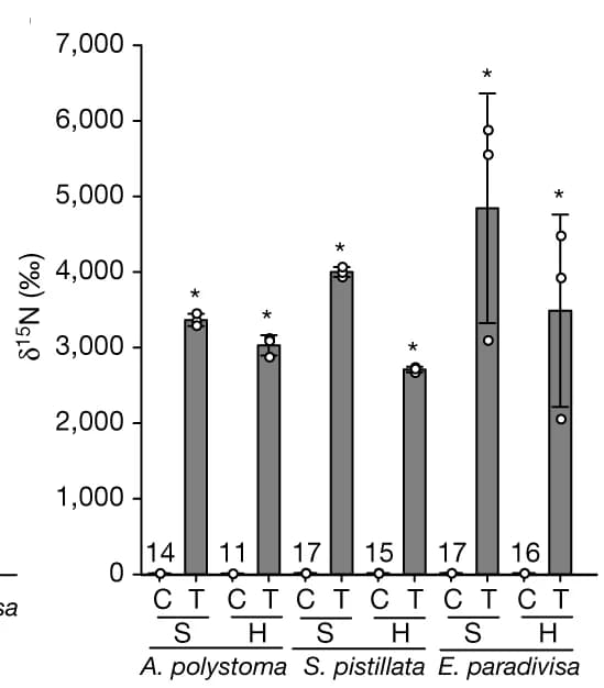 Open access visualization of Bar Plot, Error Bars, Scatter Plot, Host Tissue, Symbionts