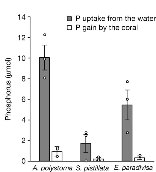 Open access visualization of Bar Plot, Error Bars, Nitrogen, Phosphorus, Water Uptake