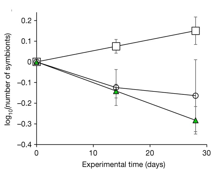 Open access visualization of Line Plot, Error Bars, Symbiont population, Nutrient-limited conditions, Coral