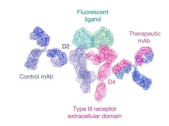 Open access visualization of Protein Structure, Receptor Tyrosine Kinases, Antibodies, Ligands, Protein Models