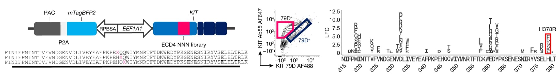Open access visualization of Scatter Plot, Bar Plot, Error Bars, Illustration, KIT