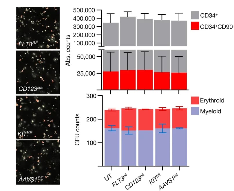 Open access visualization of Stacked Bar Plot, Error Bars, Bar Plot, Microscopy, CD34+