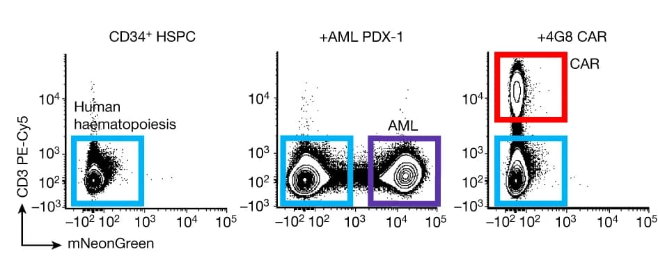 Open access visualization of Scatter Plot, FACS plots, Haematochimeric mouse BM, hCD45+, CAR T Cells