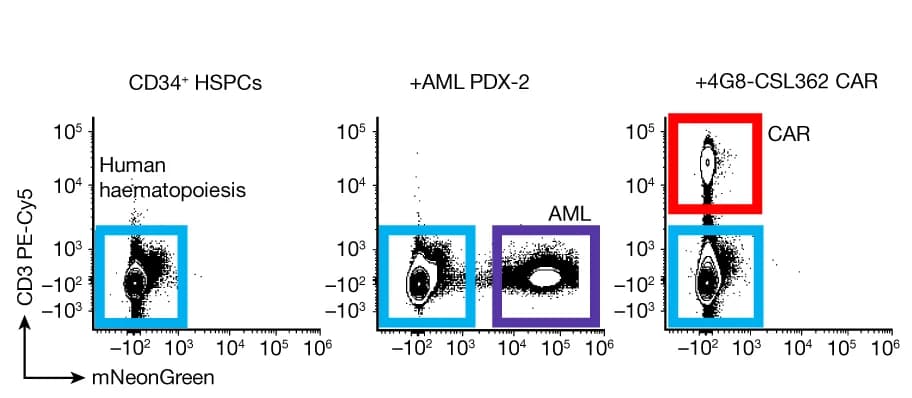 Open access visualization of Scatter Plot, BM Samples, Mice, HSPCs, PDX-2