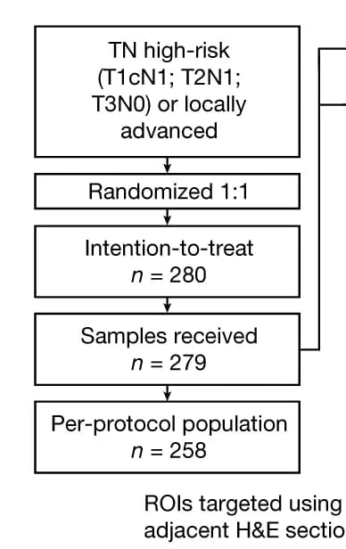 Open access visualization of Workflow, Flowchart, Tumor Sampling, Clinical Trial, Imaging