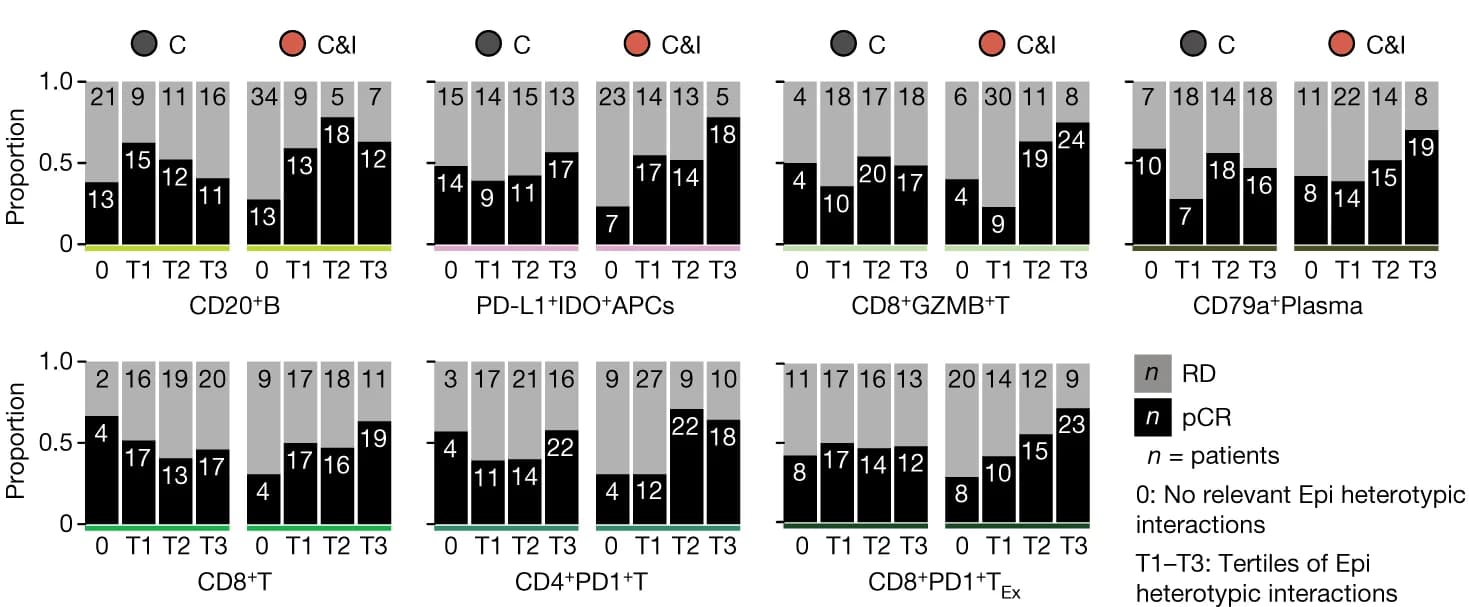 Open access visualization of Stacked Bar Plot, Bar Charts, Tumors, pCR, Epithelial-TME Interactions