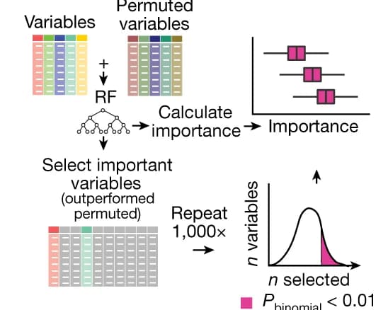 Open access visualization of Workflow, Box Plot, Density Plot, Table Image, Variable Importance