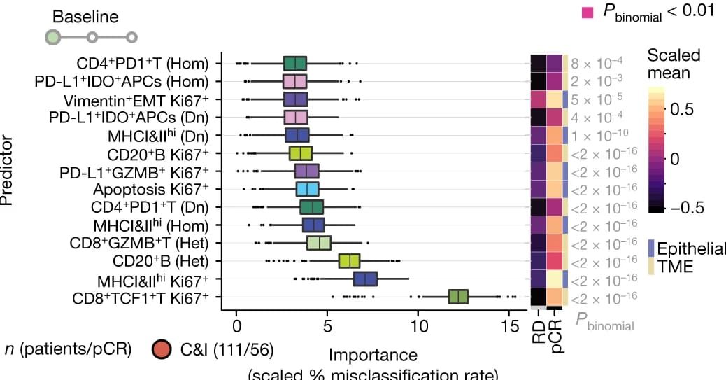 Open access visualization of Box Plot, Heatmap, Boxplots, Baseline Predictors, Immunotherapy Response