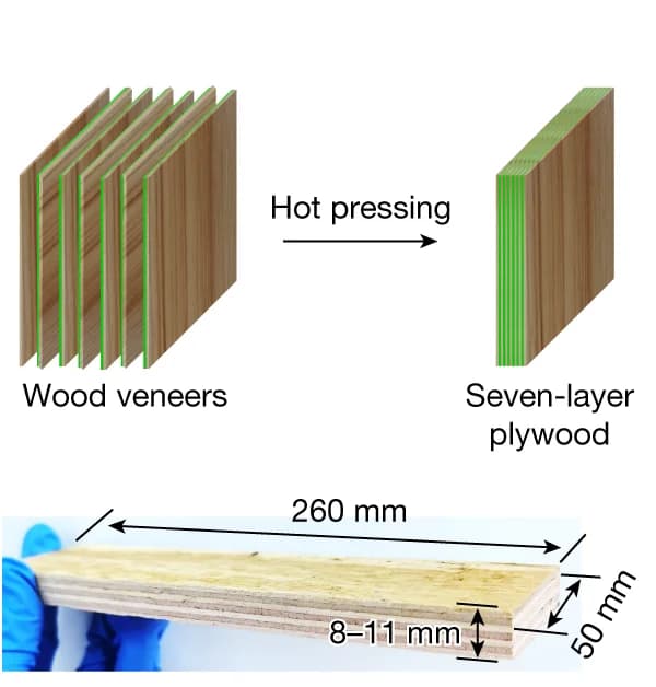 Open access visualization of Workflow, Illustration, Plywood, Mechanical Performance, Preparation