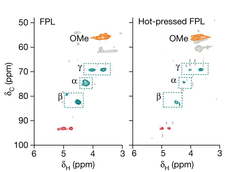 Open access visualization of Spectrogram, Side-Chain, Heteronuclear Single Quantum Coherence, Spectra, FPL