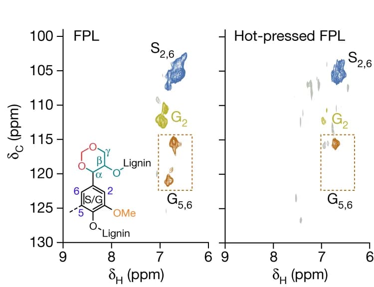 Open access visualization of Scatter Plot, Aromatic, Heteronuclear Single Quantum Coherence, Spectra, FPL
