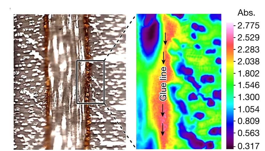 Open access visualization of Microscopy, Heatmap, Scanning Electron Microscopy, Fourier Transform Infrared Microscopy, FTIR Microscopy