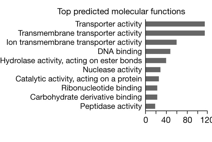 Open access visualization of Bar Plot, GO Molecular Function, DeepFRI, Protein Structures, Predicted Pockets