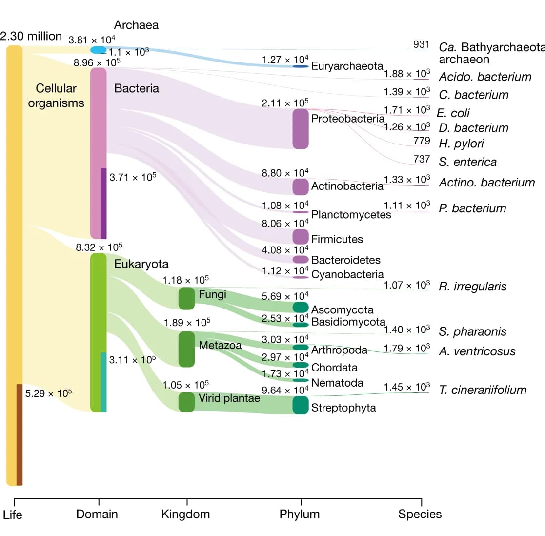 Open access visualization of Sankey, LCA, Sankey Plot, Taxonomical Nodes