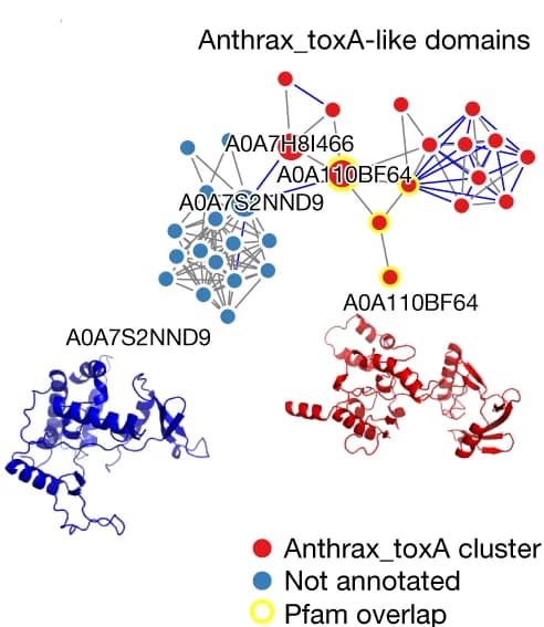 Open access visualization of Network, Pathway, Protein Structure, Anthrax_toxA-like Domains, Pfam Annotation