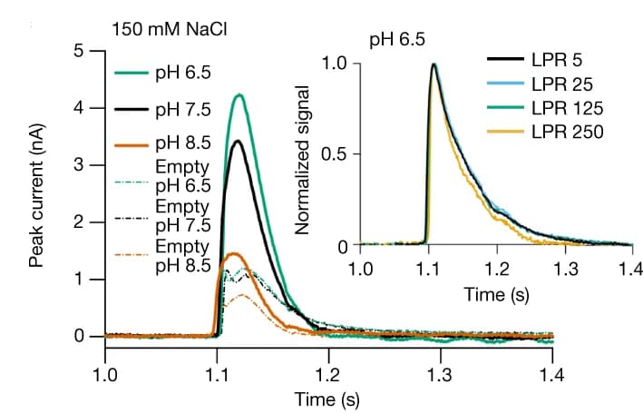 Open access visualization of Line Plot, SSM electrophysiology, Transient currents, SLC9C1 proteoliposomes, Empty liposomes