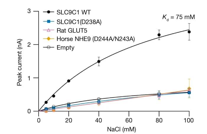 Open access visualization of Line Plot, Error Bars, Transient currents, Na+ concentrations, SLC9C1(WT)