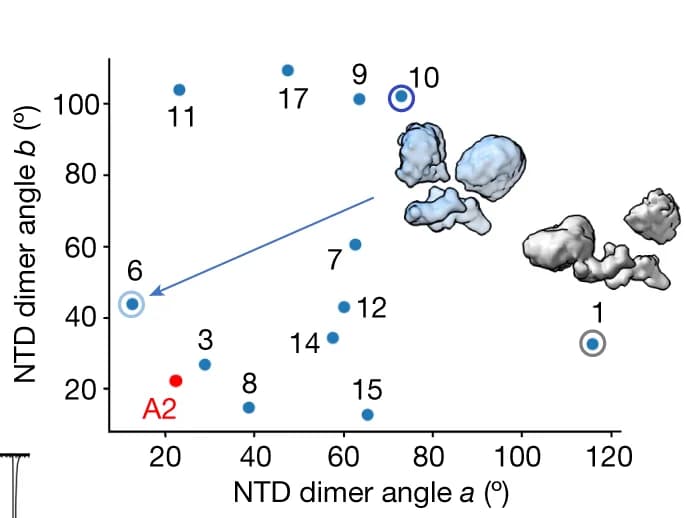 Open access visualization of Scatter Plot, 3D Plot, Conformational Landscape, Fitted Models, Angles