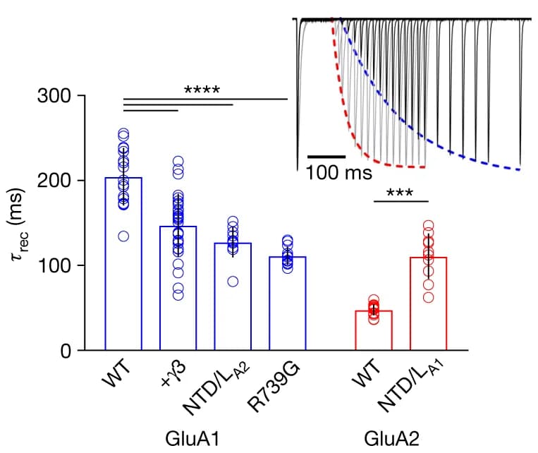 Open access visualization of Bar Plot, Scatter Plot, Error Bars, Line Plot, Desensitization Recovery